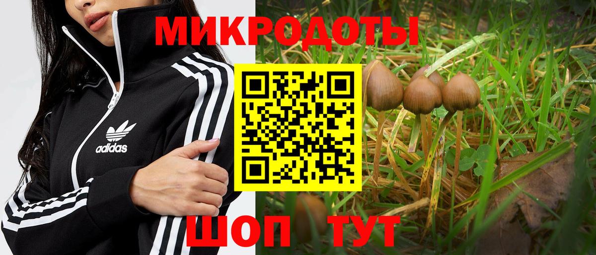 Псилоцибиновые грибы прущие грибы  Галлюциногенные грибы мицелий  Холмск  Вход с VPN 